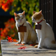 Image for article titled Cats Are the Cutest Guides to Japan